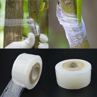 Băng keo ghép cây tự dính GA345 khổ 3cm chiều dài 150m phù hợp cho việc ghép các loại cây ăn quả và cây cảnh