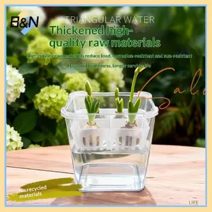 Hộp đựng thủy canh B & N có giỏ hỗ trợ thoáng khí Chậu hoa thủy canh Hạt hoa Tulip 4 lỗ Chậu hoa không đất Trang trí nhà cửa.