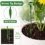 Hỗ trợ thực vật Cổ phần đa năng Chức năng Trang trí nội thất Tổ chức Essential Essential Essential