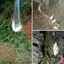 Lưới câu cá Ziyulinyuk, lưới lưới hạt phát sáng, lưới cá biển, đồ câu đồng, bãi cá, lưới quăng, dụng cụ cho ăn VN