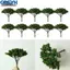<cosyh>Building Model Trees Layout Lifelike Lightweight Railroad Roadway Train