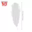 10 miếng đà điểu tự nhiên màu trắng 20-25cm đám cưới DIY