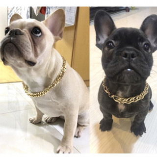 Thú Cưng Thời Trang Vòng Cổ Pháp Xô Nhỏ Vừa Chó Chó Chó Vàng Dây Chuyền Thú Cưng Vòng Cổ Trang Sức Phụ Kiện