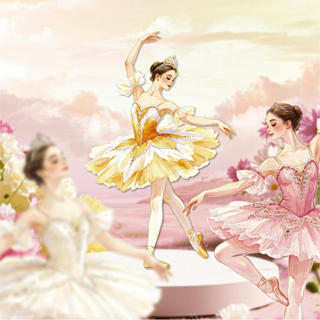 ENWEI 10 Chiếc [Loạt Truyện Ba Lê] Đào Hồng Dance Shadow Lime Grace Hình Tạp Chí Nhãn Dán Trang Trí Người Lập Kế Hoạch Văn Phòng Phẩm