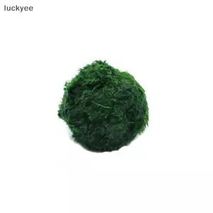 Luckyew 3-4cm Marimo Moss Balls Sống Bể Cá Thực Vật Tảo Cá Tôm Bể Trang Trí Mô Phỏng Xanh Tảo Bóng Cây Nhân Tạo TQ