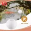 Đèn lồng / đèn giấy trắng Trung Quốc / Nhật Bản Đường kính 8 "