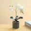 XUAN Lụa Bướm Phong Lan Hoa Nhân Tạo Cây Cảnh Phong Lan Phalaenopsis Chậu Hoa Nhà Trang Trí Đám Cưới Sắp Xếp Cây Giả VN