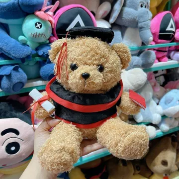 Hỏa Tốc Gấu Bông 346TD Gấu Bông Tốt Nghiệp - Thú Nhồi Bông Teddy Cử Nhân Cao Cấp Gấu Bông