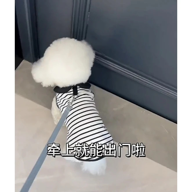 Mùa Xuân Mùa Hè Thú Cưng Áo polo Quần Áo Chó Nhỏ Thời Trang Ve Áo Phong Cách Teddy Bichon Pomeranian Quần Áo Chó