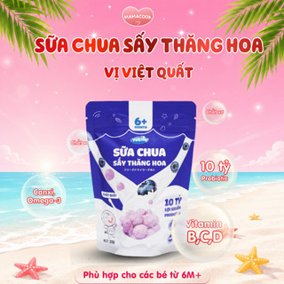 Sữa Chua Sấy Khô YoBite Kids 20Gr Vị Việt Quất - Bổ Sung Lợi Khuẩn Probiotics - Hỗ Trợ Ăn Dặm Cho Bé
