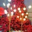 Đạo Cụ Cưới Hướng Dẫn Đường Phụ Kiện G4 Nguồn Sáng Apple Tree Wick Đèn Hạt Biển Urchin Đèn Wick Phụ Kiện Ánh Sáng Trắng Ánh Sáng Ấm Áp