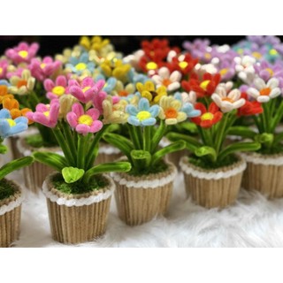 [Thành phẩm] Chậu Hoa Kẽm Nhung mini Thủ công Handmade - Làm Quà tặng - Decor Trang trí nhà cửa, bàn học, bàn làm việc