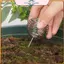 Phụ kiện làm vườn ĐIỆN 10 chiếc Hộp thép không gỉ Thiết kế cột để đạt hiệu suất tối ưu.