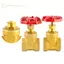 GE Dễ dàng lắp đặt Van cổng đồng thau ren nữ 1 / 2 "3 / 4" 1 "để kiểm soát nước dân cư hiệu quả VN