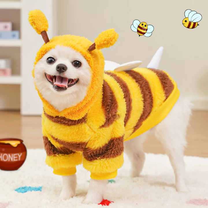 Quần Áo Thú Cưng Chó Đồ Dùng Cho Mèo Thu Đông Chó Biến Hình Quần Áo Teddy Bichon Pháp Chiến Đấu Mèo Plus Nhung Sản Phẩm Mới Chó Cỡ Vừa
