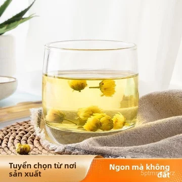 Trà hoa cúc thai cúc Đồng Hương chính gốc không lưu huỳnh hoa cúc khô Hàng Bạch Cúc 100g