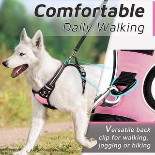 Dây xích chó lớn vừa phải Phong cách Áo Vest Dây đeo ngực chống cháy nổ Corgi Labrador Dây xích đi bộ cho chó