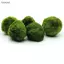 Luckyew 3-4cm Marimo Moss Balls Sống Bể Cá Thực Vật Tảo Cá Tôm Bể Trang Trí Mô Phỏng Xanh Tảo Bóng Cây Nhân Tạo TQ