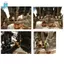 Đồng thau Phía Trước Trục Sau Dưới Chống Sốc Treo Liên Kết Đứng Cho 1 / 10 RC Xe Bánh Xích TRX4 Nâng Cấp Phần