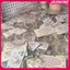 JASMINE Vòng Tay Học Sinh Có Thể Điều Chỉnh 1 3 5 Chiếc Tốt Nghiệp Mill Hạt Trang Sức Thủ Công Cho Lễ Kỷ Niệm Trường Học JASMINE