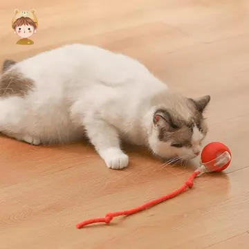 Đồ chơi bóng mèo, Đồ chơi mèo tự động, Đồ chơi mèo điện, Đồ chơi giáo dục cho mèo, Bóng mèo tương tác, Đồ chơi cho mèo trong nhà, Đồ chơi xếp hình tương tác