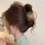 Kiwifruit Tóc Móng Vuốt Kẹp Lớn Mạnh Chống Trơn Trượt Quả Kiwi Kẹp Tóc Cho Tóc Dày Tóc Dài Xoăn Tóc