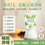 Upside Down Hương Liệu Phòng Tắm Chuyên Dụng Khử Mùi Tủ Quần Áo Tủ Giày Khử Mùi Hương Lâu Dài Hương Thơm Gardenia Hương Thơm Hộ Gia Đình Capac Lớn