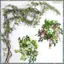 2 Cái 7Ft / Cái Cây Nho Wisteria Nhân Tạo, Hoa Vòng Hoa Wisteria Vine Mây Treo Hoa Cho Lễ Ngoài Trời