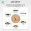 10 Chiếc Fly Fishing Poppers, Topwater Mồi Câu Cá Crappie Bluegill Panfish Cá Hồi Cá Rô Ruồi