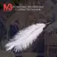 10 miếng đà điểu tự nhiên màu trắng 20-25cm đám cưới DIY