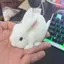 SRVN Kawaii Thỏ Trắng Bóp Đồ Chơi Mềm Mại Thỏ Dễ Thương Fidget Chống Căng Thẳng Quà Tặng Cho Gia Đình Bạn Bè Phục Sinh Ủng Hộ.