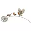 Top Iron Bird Garden Chèn trang trí cho màn hình lộ trình trải giường hoa ngoài trời