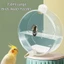 Máy cấp nước DWEL Birds, Bình nước chim dung tích lớn 350ml, Bình nước vẹt chống rò rỉ trong suốt có thể treo cho lồng chim