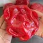 Dưa Hấu Bóp Đồ Chơi Mềm Dưa Hấu Tăng Chậm Slushy Squishy Quà Tặng Độc Đáo Cho Trẻ Em Người Lớn Học Sinh sonlekvn