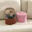 Ziyulinyuk Hộp Mỹ Phẩm Da PU Dung Tích Lớn Có Hộp Bảo Quản Bên Trong Túi Đựng Mỹ Phẩm Cầm Tay Có Thể Tháo Rời Dây Kéo Túi Du Lịch VN