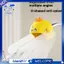 Nhà bếp cho phụ kiện bảo vệ Splash Bộ mở rộng vòi silicon cho trẻ em-cho Splash Guard Phụ kiện nhà bếp Thiết kế màu vàng hổ phách