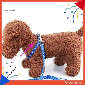 Dây nịt cổ chó mèo Dây xích xương thời trang Paws In dây kéo an toàn