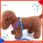 Dây nịt cổ chó mèo Dây xích xương thời trang Paws In dây kéo an toàn