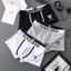 Quần Lót Nam Phổ Biến Cotton Nguyên Chất Thoáng Khí Thanh Niên Boxer