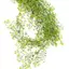 Cá Tuyết giả nhân tạo Dây leo hoa treo tường giả mây cây hoa trang trí nhà