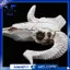 Nhựa Đầu Cừu Đầu Lâu Đầu Treo Tường 3D Động Vật Longhorn Điêu Khắc Các Bức Tượng Thủ Công Sừng Trang Trí Nhà Đồ Trang Trí