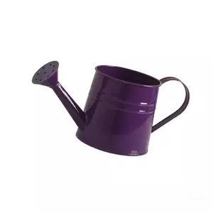 Bình tưới nước cổ dài hàng đầu để chăm sóc hoa Bình tưới nước bằng kim loại nhỏ có đầu phun nước Mở rộng và tay cầm cong