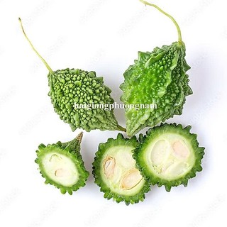 10 Hạt - Hạt Giống Khổ Qua Rừng Phương Nam