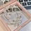 PNPIA- Thời Trang Opal Pha Lê Ngôi Sao Mặt Trăng Mặt Dây Chuyền Vòng Tay Đơn Giản Ngọt Ngào Nữ Vòng Tay Nữ Sinh Nhật Món Quà Trang Sức