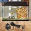 <cosyh>Solar Powered Water Pump for Garden Pond Pool Fish Enhance Your Outdoor Space