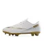 Bóng Đá Cleats Giày Bóng Đá Mùa Thu Dài Đinh Turf Studs Giày Bóng Đá FG TF CWNI