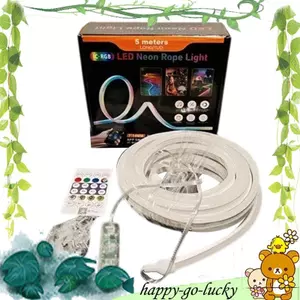 Đèn LED dải DC5V DIY RGB Dải đèn khí quyển Dải đèn Neon có đồng bộ nhạc để trang trí nội thất 5 mét