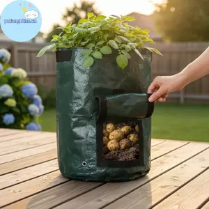 Pufangbliss Giá cả phải chăng 1 Túi trồng khoai tây được tối ưu hóa để sử dụng trong vườn tại nhà VN