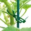 Bộ 50 Có Thể Tái Sử Dụng Hỗ Trợ Cây Kẹp Vườn Nhựa Có Thể Điều Chỉnh Để Leo Cây Nho Trồng Rau