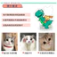 Hoạt Hình Dễ Thương Mèo Lắc Đầu Trang Trí Xe Ô Tô Tùy Chỉnh Hình Thú Cưng Của Riêng Bạn DIY Bảng Điều Khiển Trung Tâm Ô Tô Trang Trí Nội Thất Chó Giảm Căng Thẳng Bàn Acrylic Đứng Cho Văn Phòng